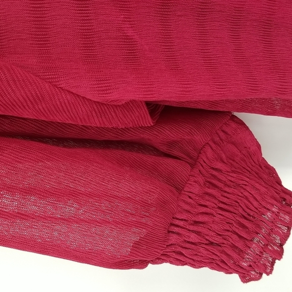 Zara Cranberry Dropped Waist Sheer Overlay Dress with Slip - Picture 5 of 13